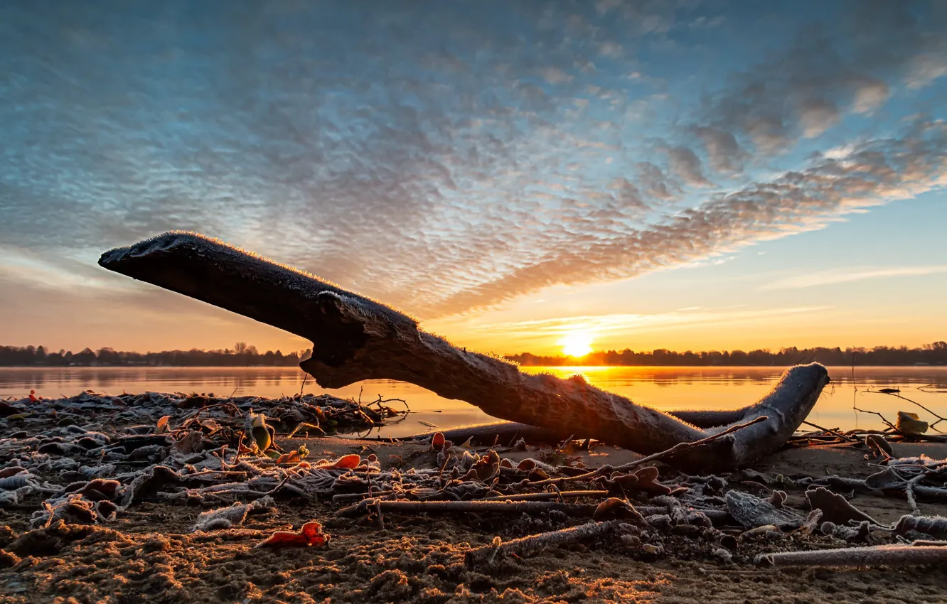 Photo wallpaper frost, sunset, lake, snag