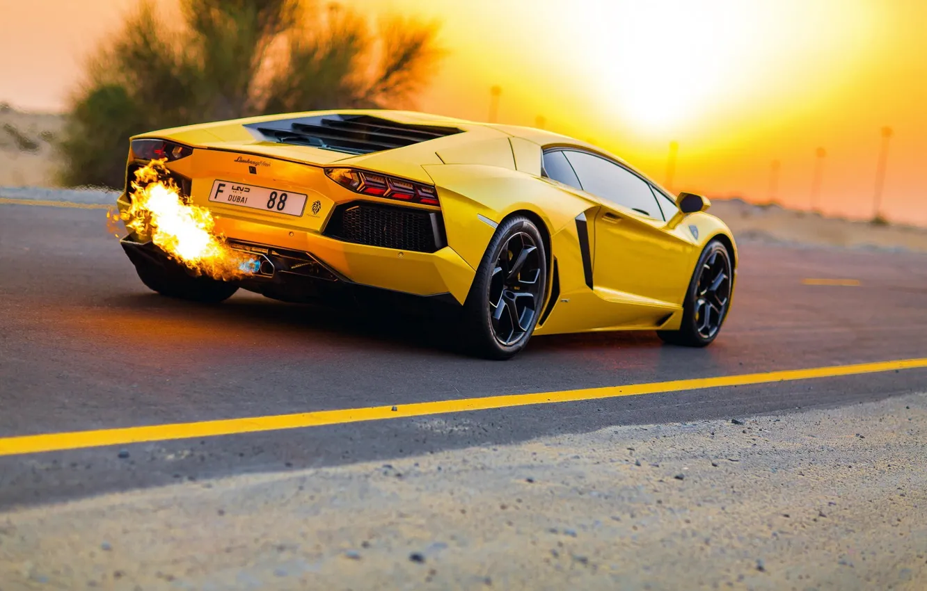 Photo wallpaper Road, Yellow, Lamborghini, Lamborghini, Dubai, Yellow, LP700-4, Aventador