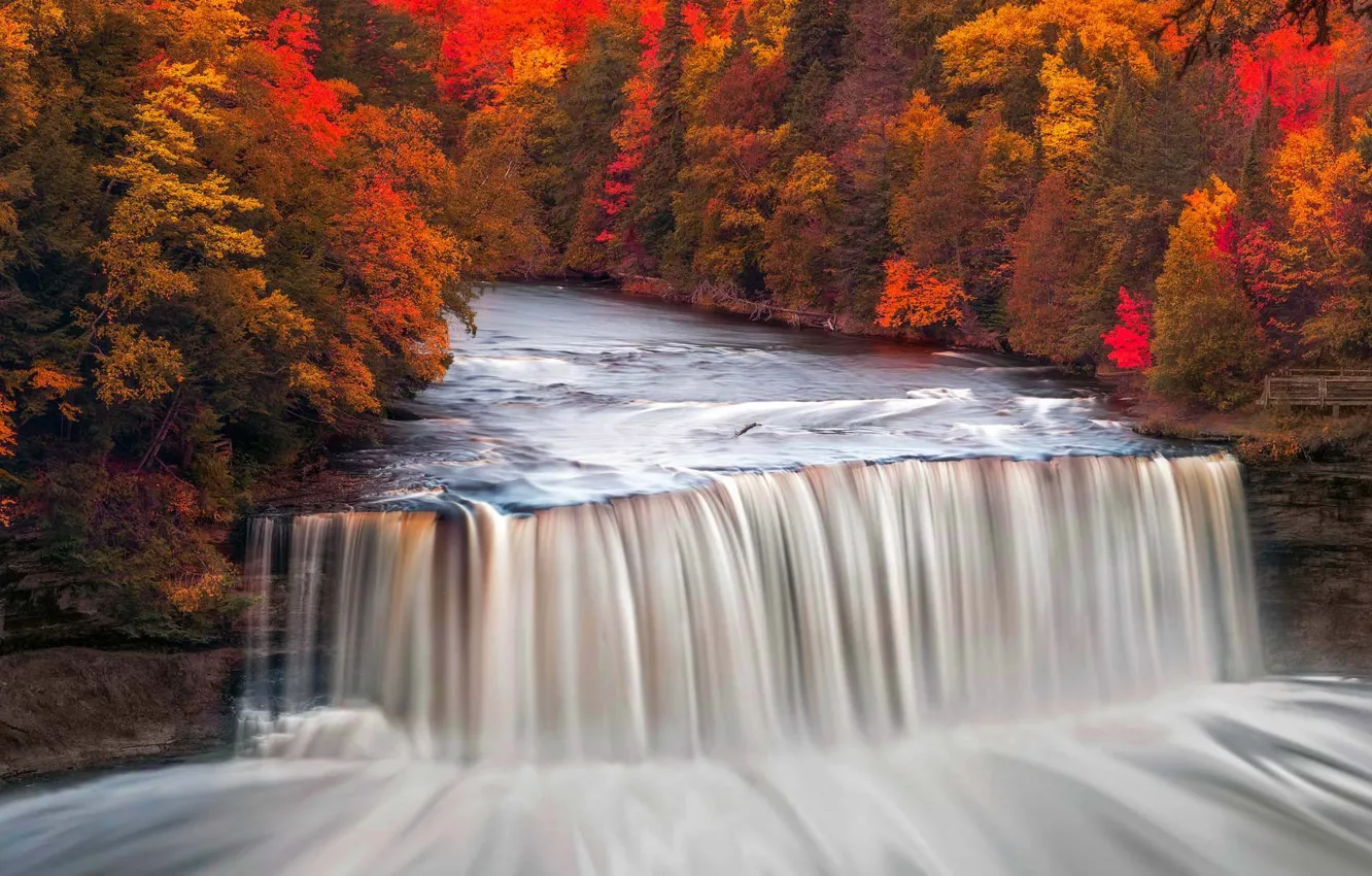 Photo wallpaper autumn, trees, river, waterfall, Michigan, USA, State Park, Taquamenon Falls