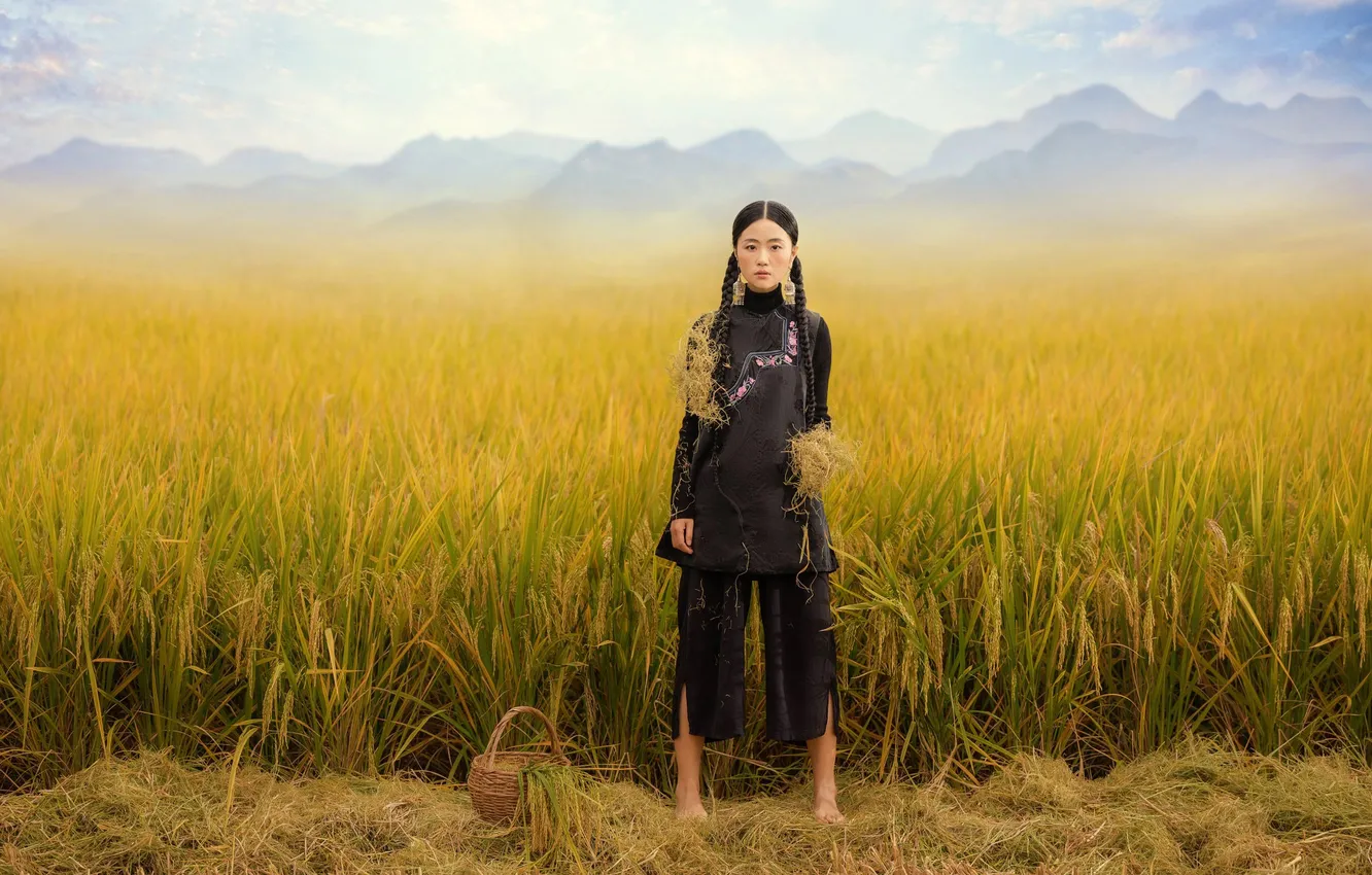 Photo wallpaper field, look, girl, nature, pose, Asian, Nick Vison