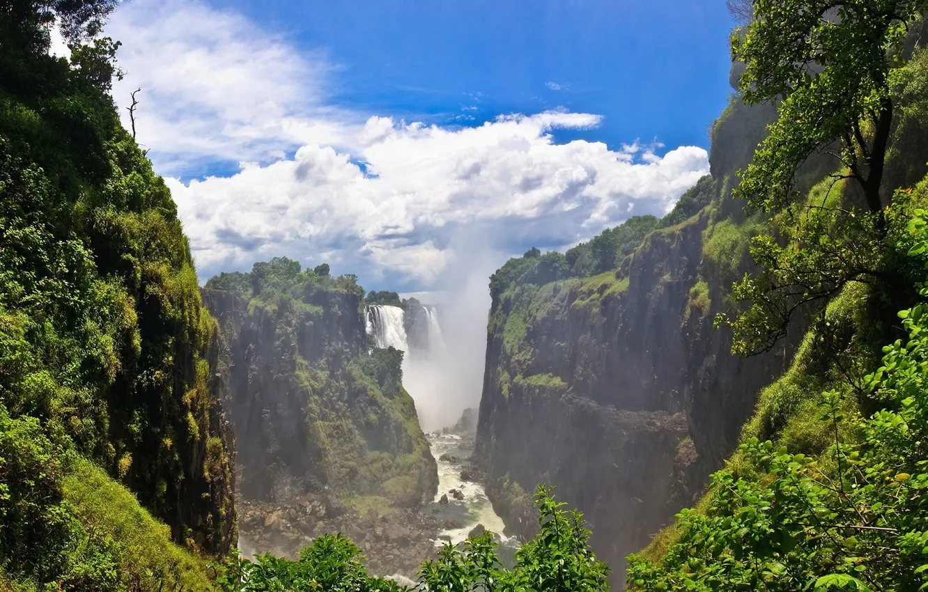 Photo wallpaper forest, the sky, clouds, trees, landscape, mountains, nature, fog