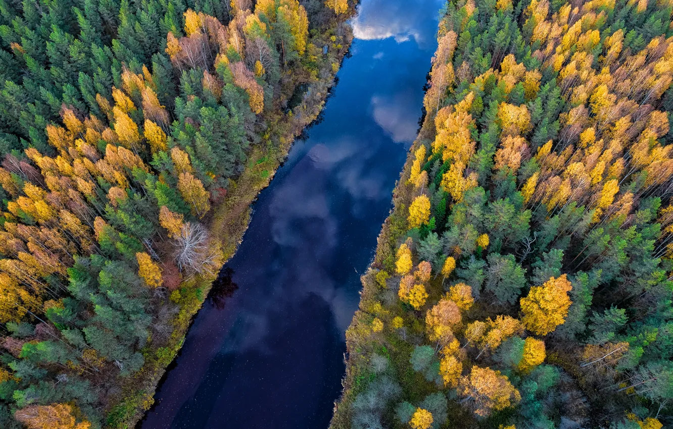 Photo wallpaper autumn, forest, clouds, trees, reflection, river, blue, shore