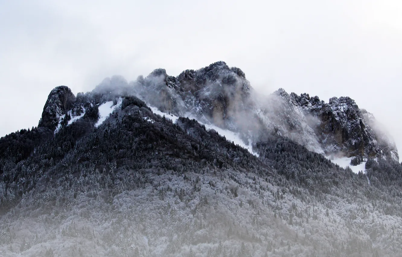 Photo wallpaper winter, the sky, snow, trees, mountains, nature, fog, rocks