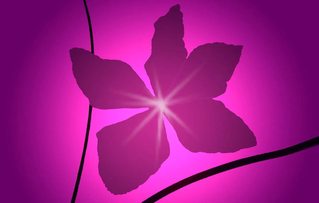 Photo wallpaper light, flowers, abstraction, paint, minimalism, petals