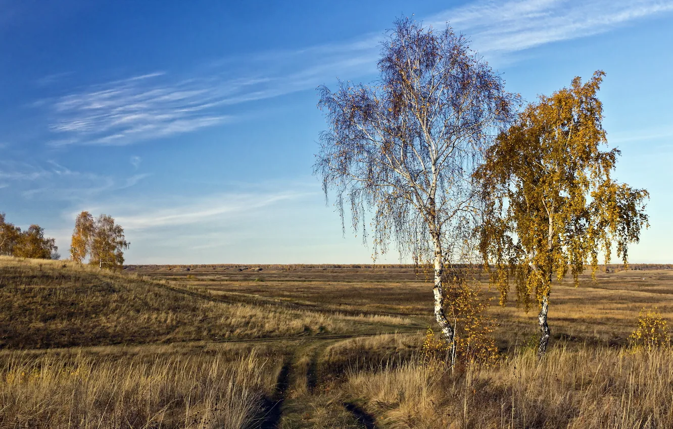 Photo wallpaper road, field, autumn, landscape