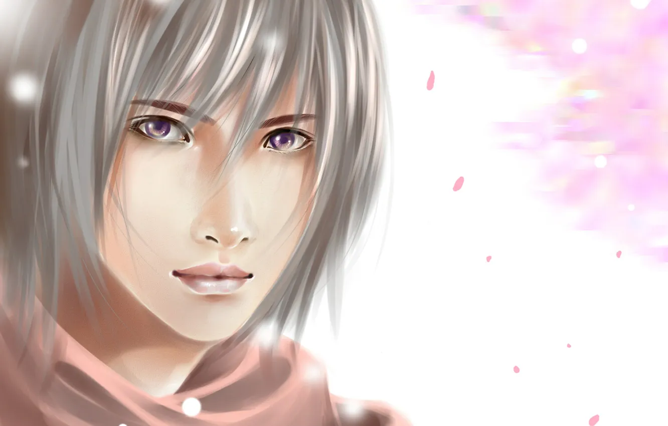 Photo wallpaper petals, Sakura, guy