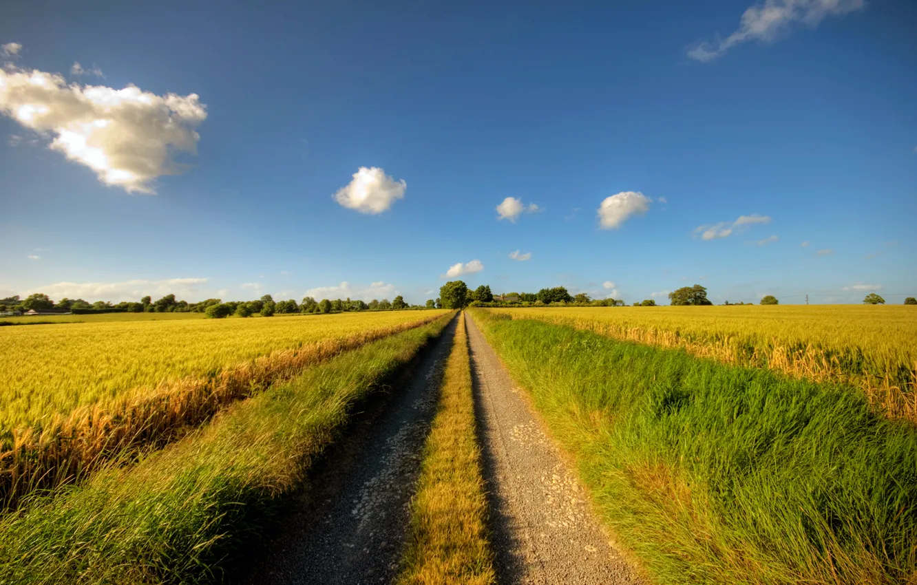 Photo wallpaper road, summer, the sky, grass, clouds, the way, dal, road
