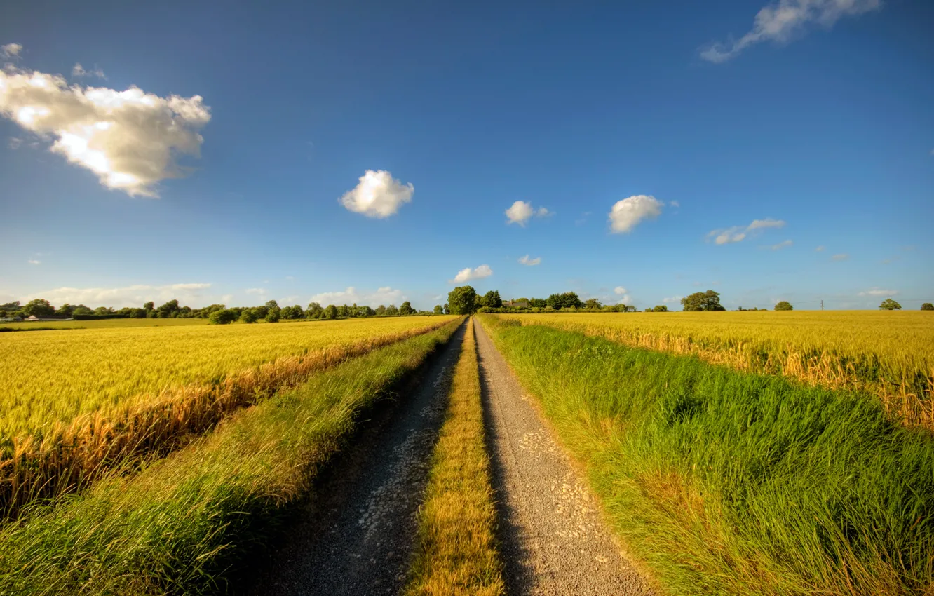 Photo wallpaper road, summer, the sky, clouds, the way, dal, grass, road