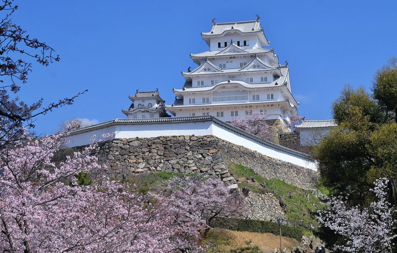 Photo wallpaper castle, spring, Japan, Sakura, Himeji