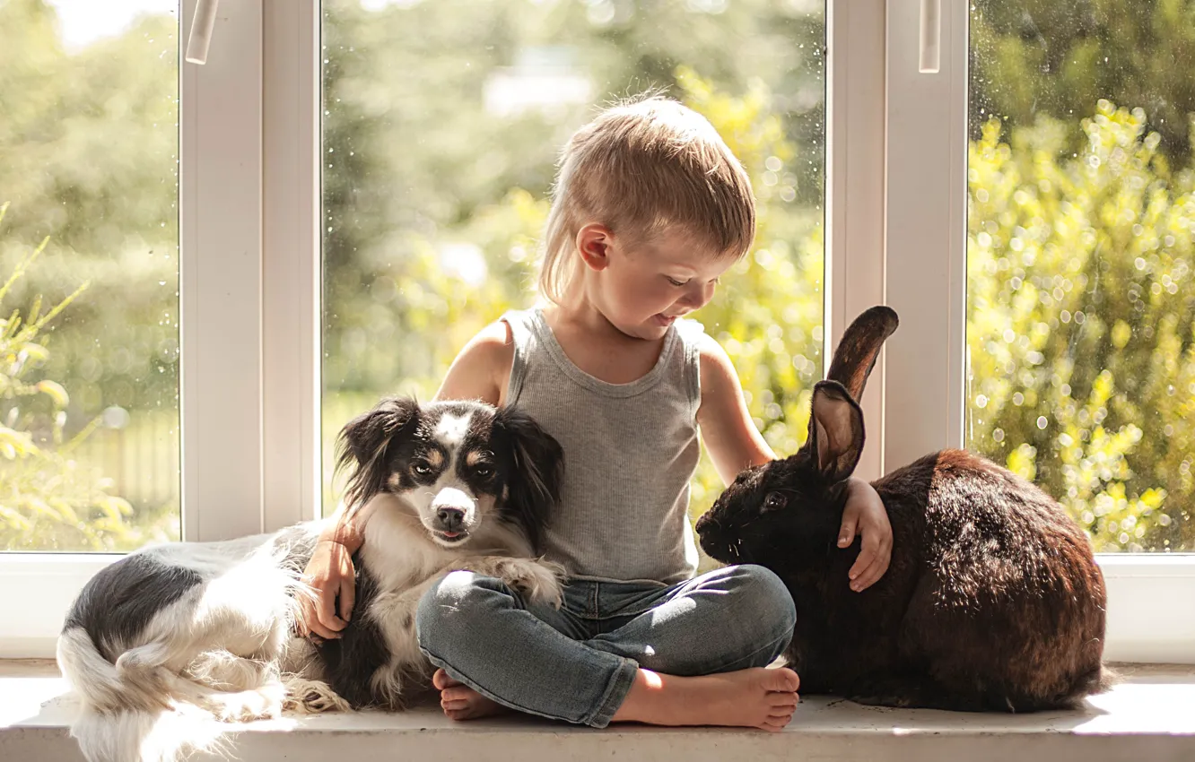 Photo wallpaper mood, dog, boy, rabbit, window, friendship, friends, on the windowsill