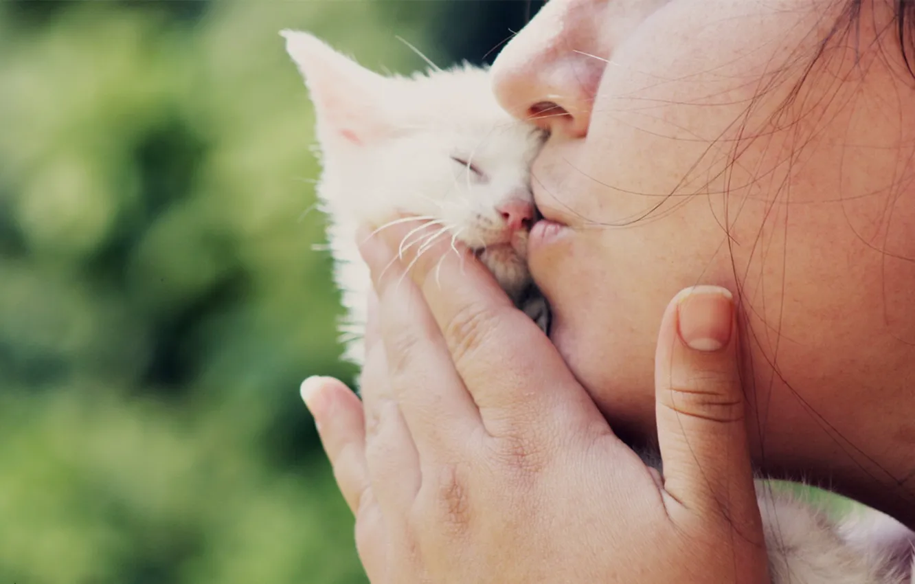 Photo wallpaper kiss, small, kitty