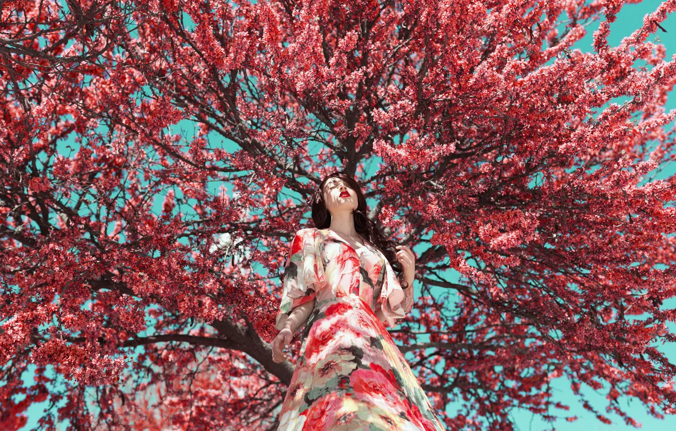 Photo wallpaper face, tree, model, dress, flowering