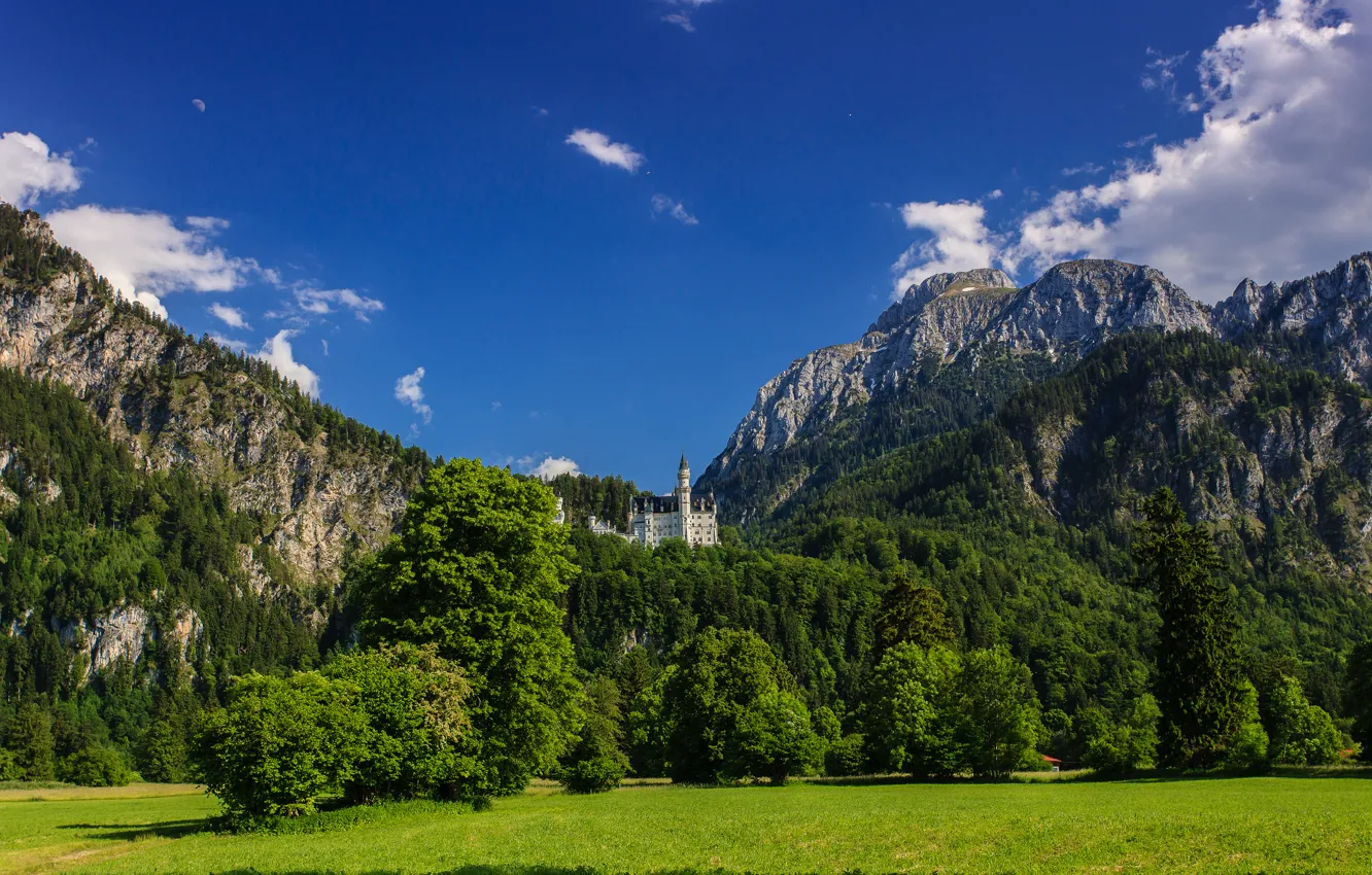 Photo wallpaper trees, mountains, Germany, Bayern, meadow, Germany, Bavaria, Neuschwanstein Castle