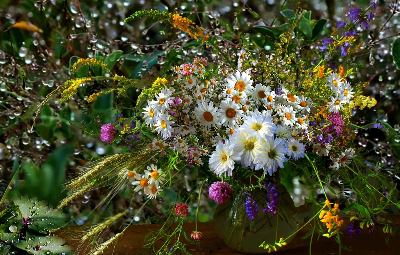 Photo wallpaper collage, chamomile, bouquet, wildflowers