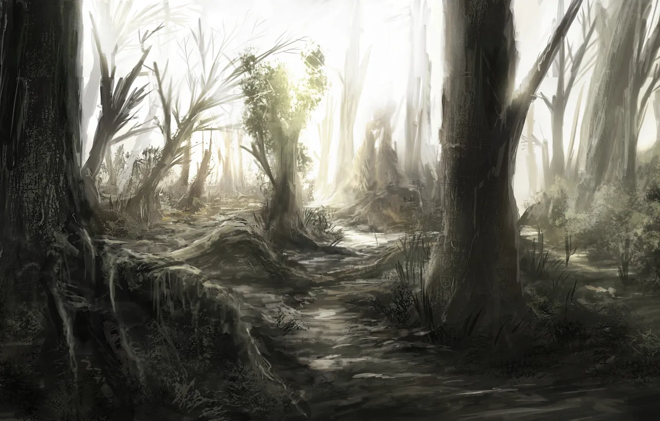 Photo wallpaper forest, trees, nature, thicket, art, trunk