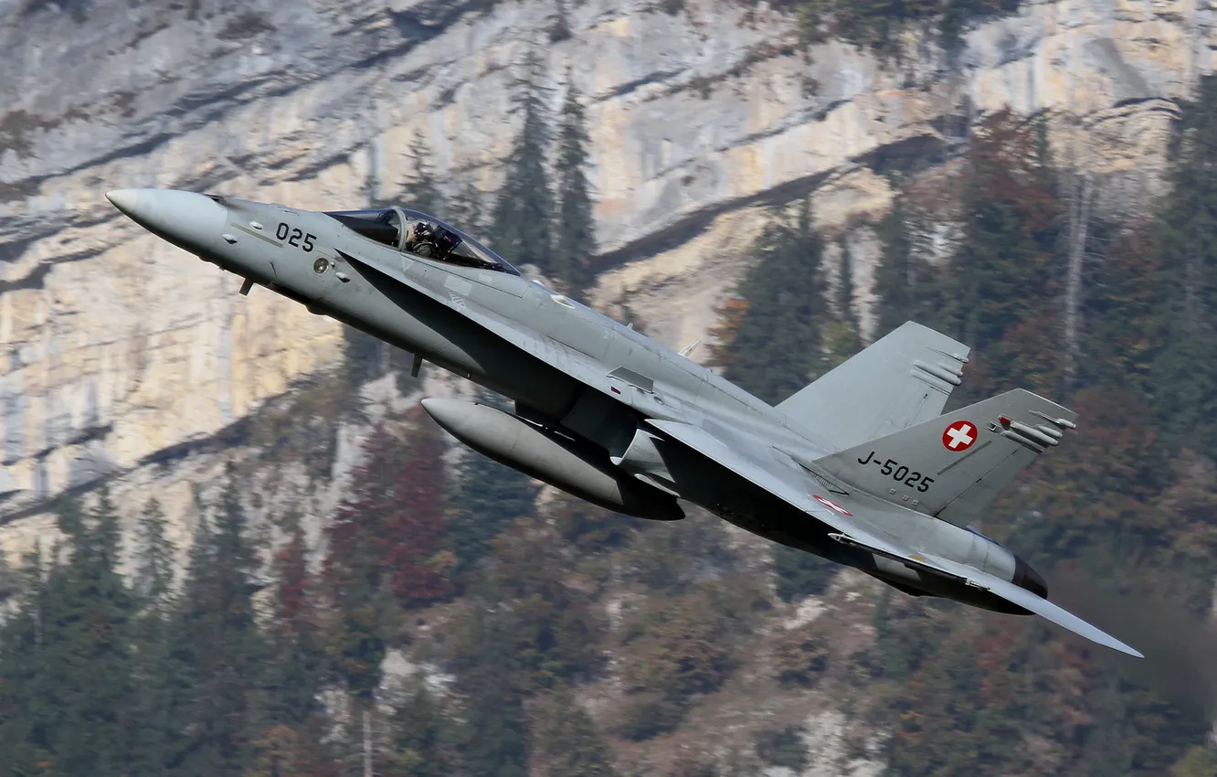 Photo wallpaper flight, fighter, pilot, multipurpose, Hornet, FA-18