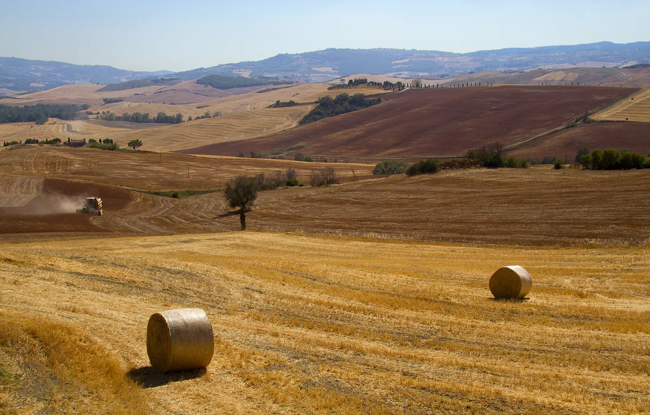 Photo wallpaper field, autumn, cleaning, Italy, Tuscany, rolls