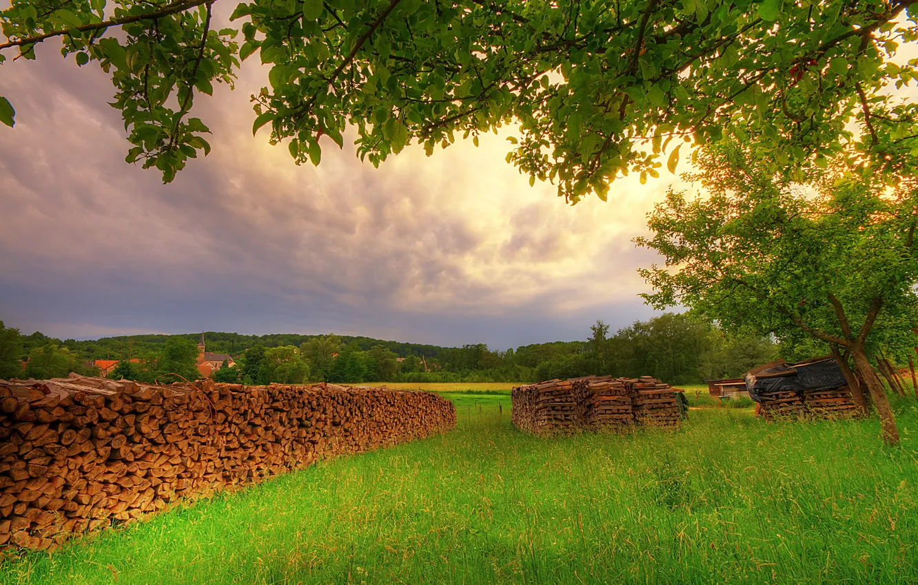 Photo wallpaper greens, forest, summer, glade, wood, house, Polenitsa