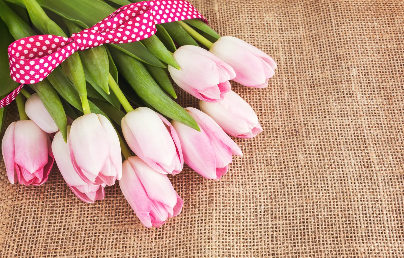 Photo wallpaper bouquet, tape, tulips, pink, burlap, LAIMDOTA GRIVANE