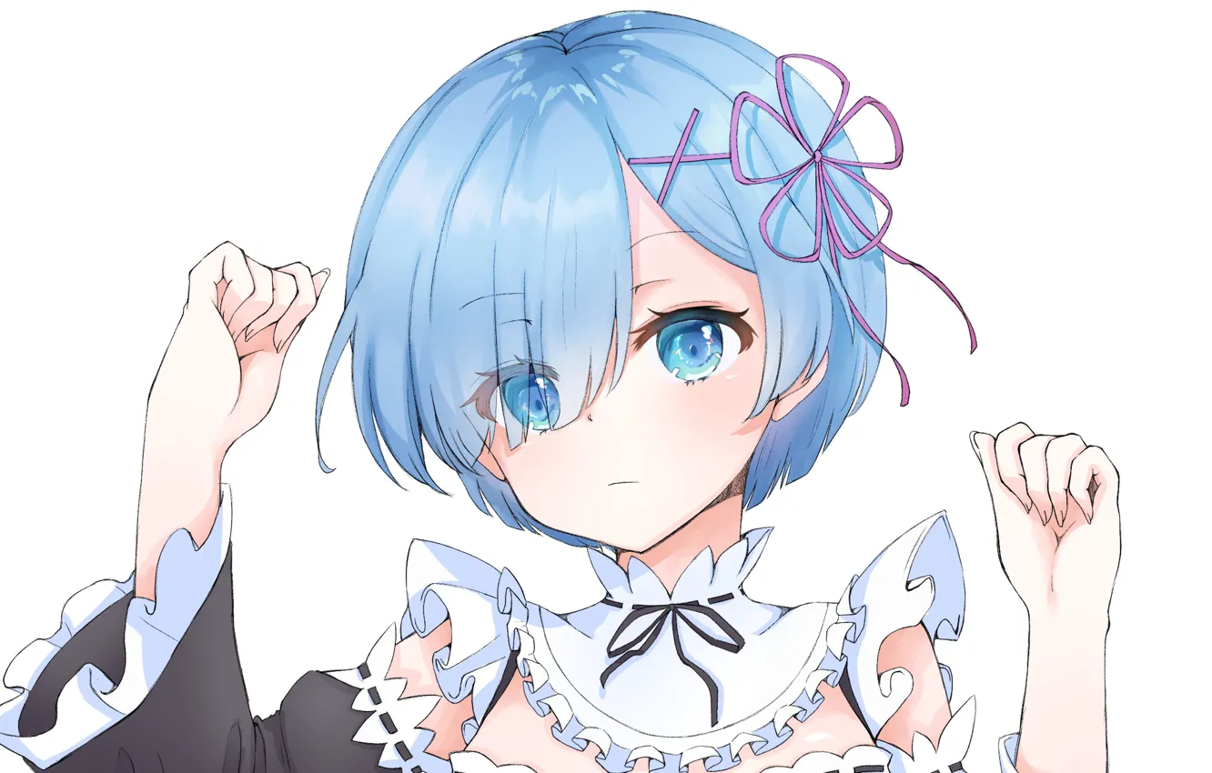 Photo wallpaper girl, white background, re zero kara hajime chip isek or seikatsu, From scratch, REM