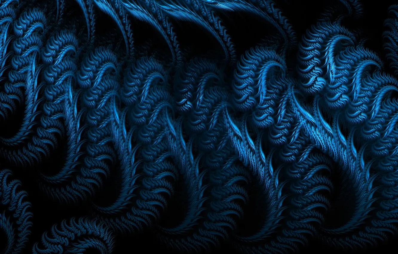 Photo wallpaper light, pattern, feathers, twilight