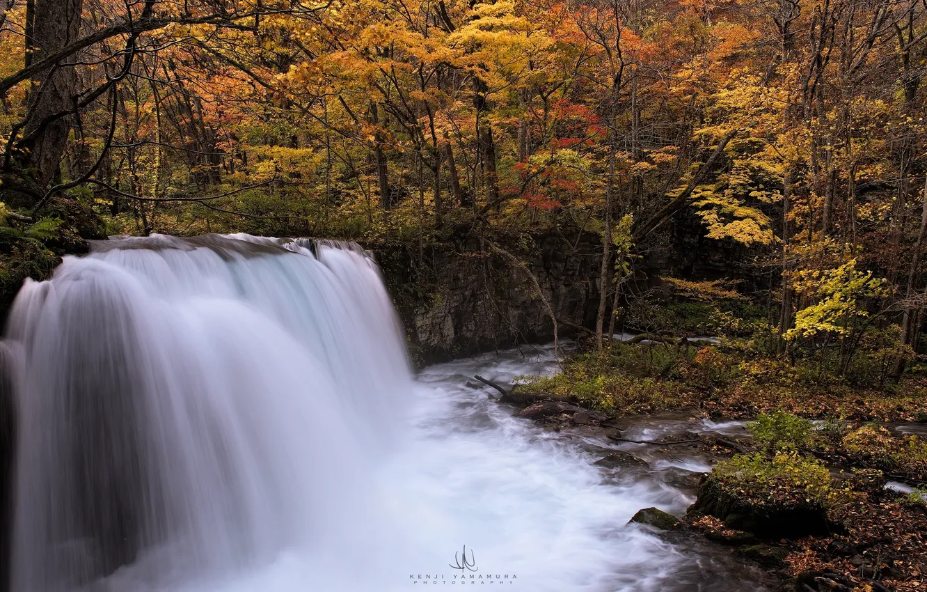 Photo wallpaper autumn, river, waterfall, photographer, Kenji Yamamura