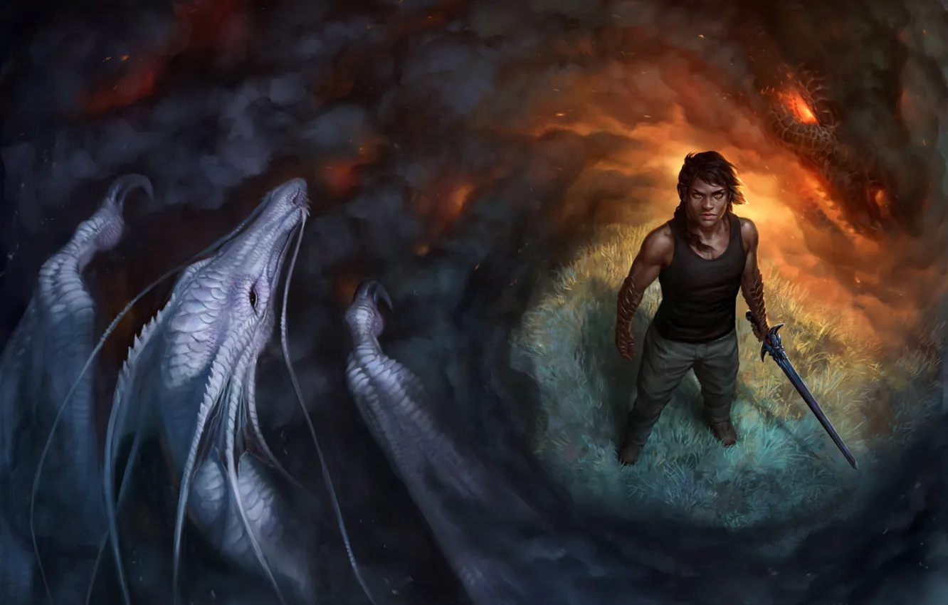 Photo wallpaper fiction, magic, dragon, smoke, sword, scales, warrior, male