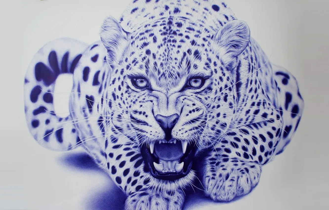 Photo wallpaper art, leopard, beast, Eva Garrido