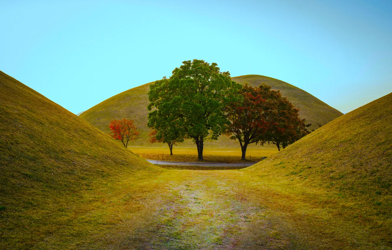 Photo wallpaper grass, road, sky, trees, landscape, nature, South Korea, hills