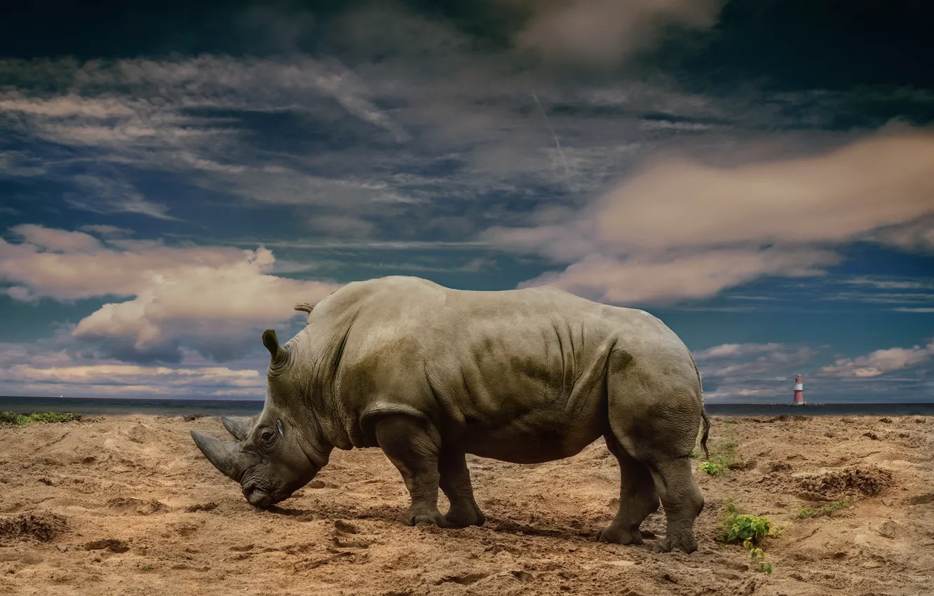 Photo wallpaper nature, lighthouse, Rhino
