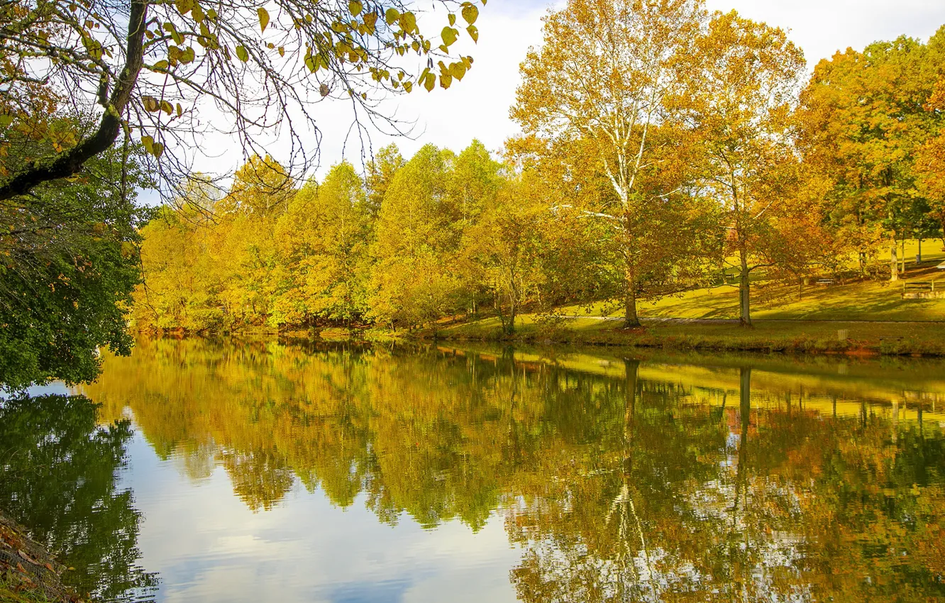 Photo wallpaper autumn, leaves, trees, Park, reflection, river