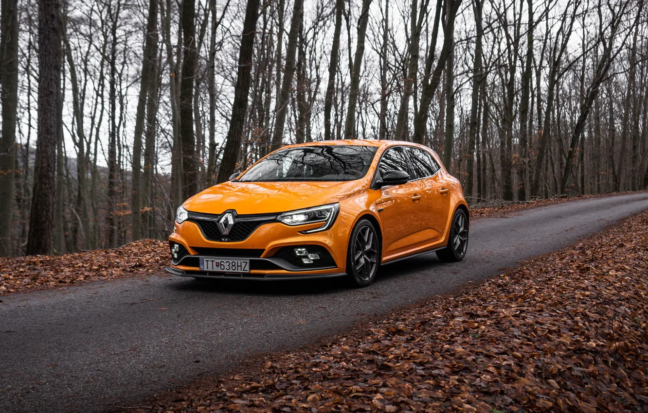Photo wallpaper Renault, Front, Autumn, Yellow, Road, Megane, Forest, Megane RS