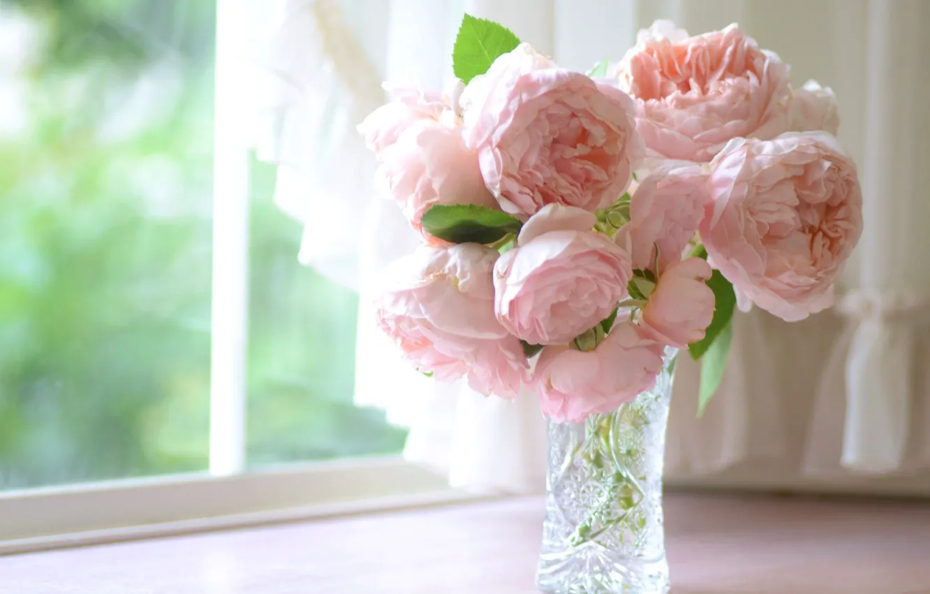 Photo wallpaper roses, petals, window, vase, sill, pink, buds