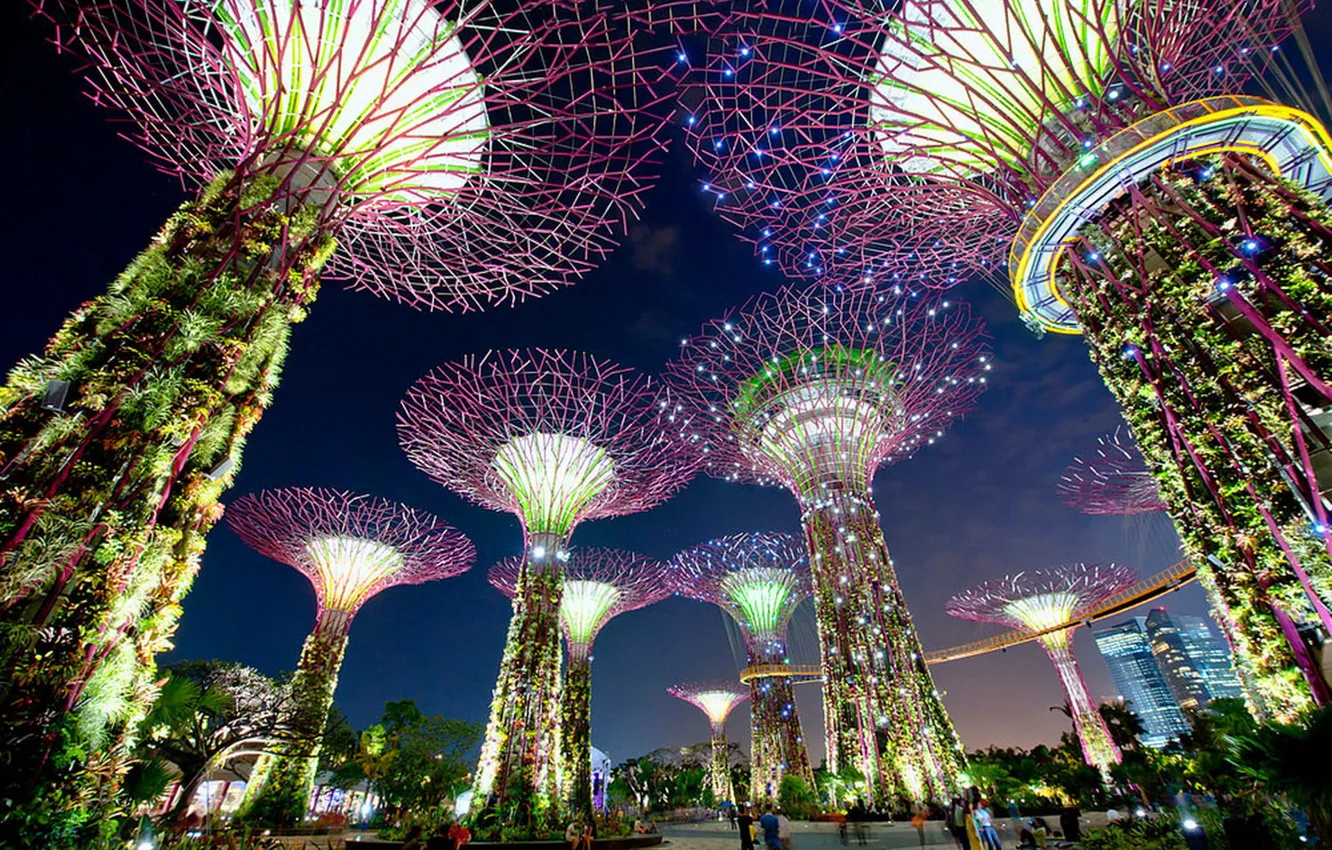 Photo wallpaper lights, tower, Singapore, Gardens By the Bay, Singapore