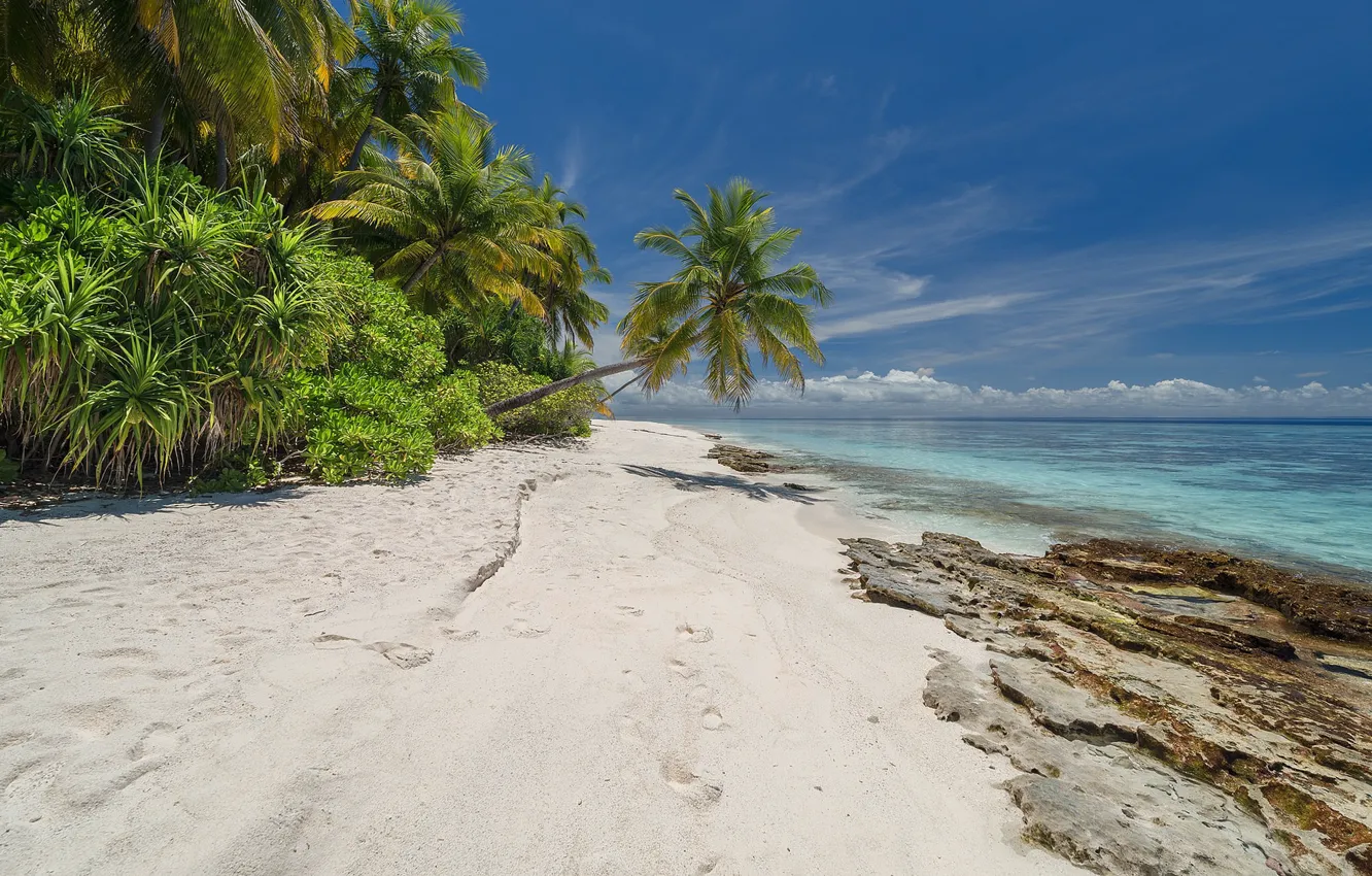 Photo wallpaper sea, beach, landscape, tropics, palm trees