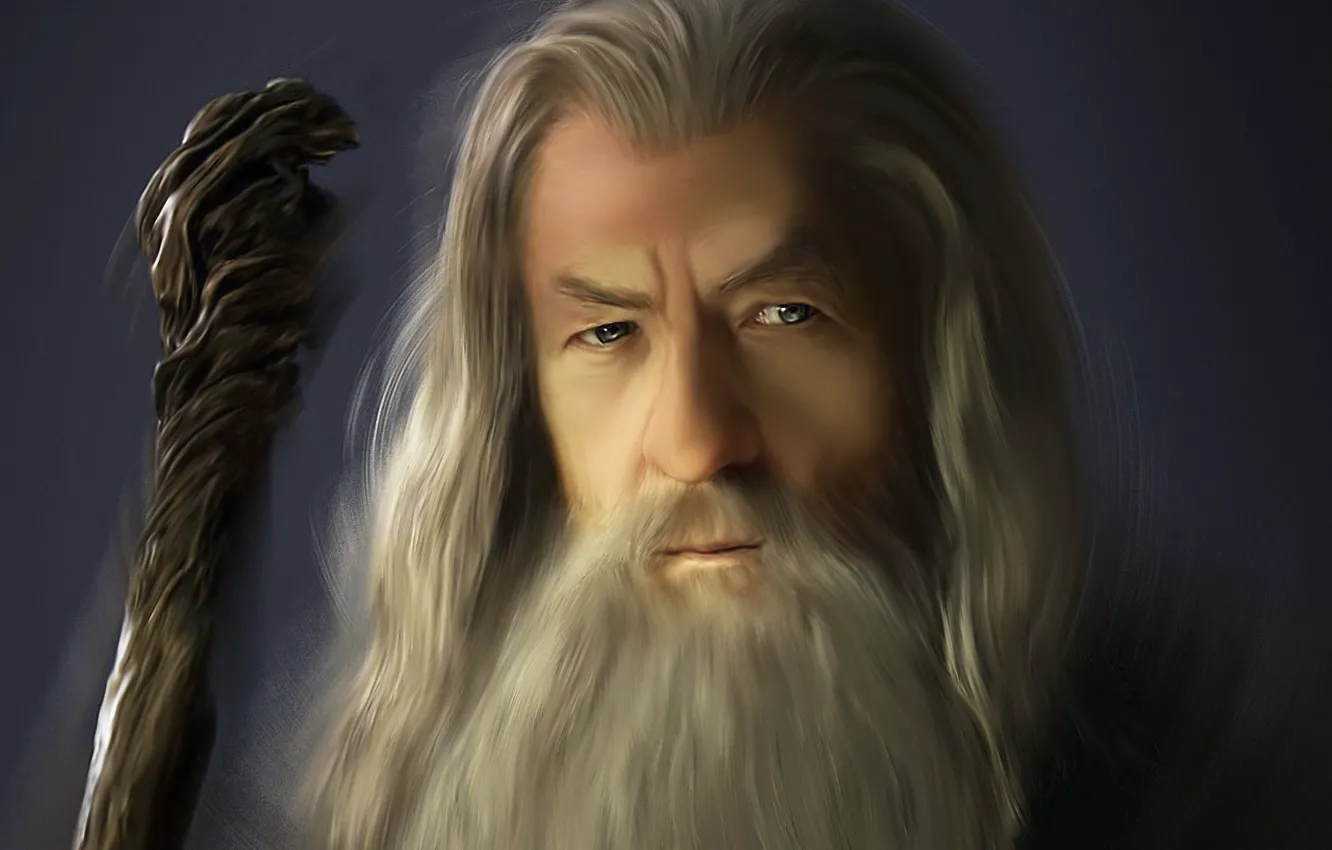 Photo wallpaper grey, the Lord of the rings, art, MAG, the old man, staff, beard, Gandalf