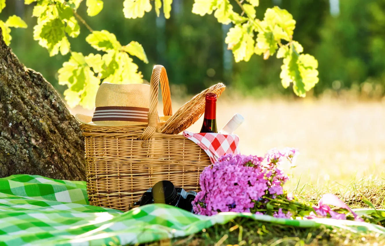 Photo wallpaper summer, grass, leaves, the sun, trees, flowers, branches, nature