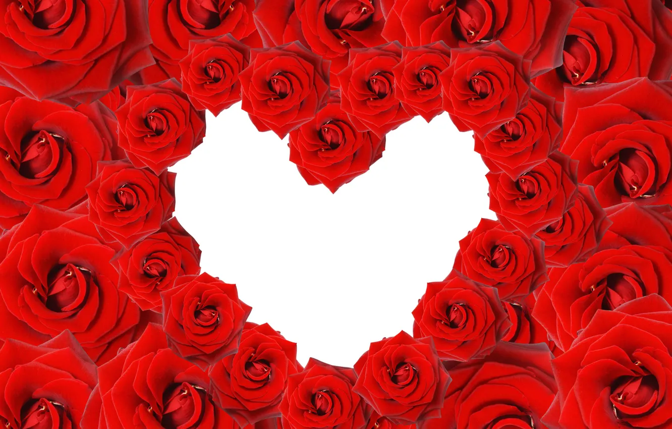 Photo wallpaper flowers, heart, roses, rose, heart, valentine's day