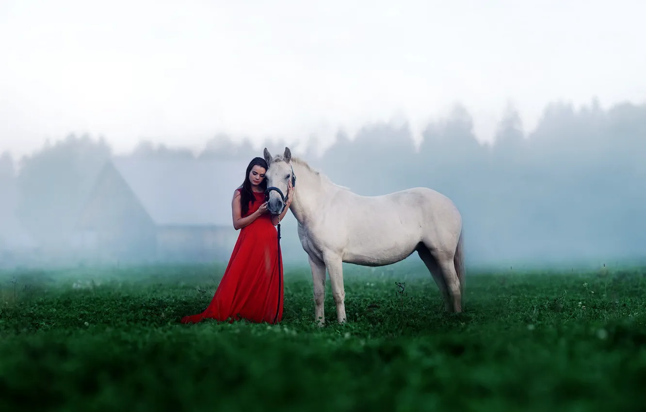 Photo wallpaper girl, mood, horse
