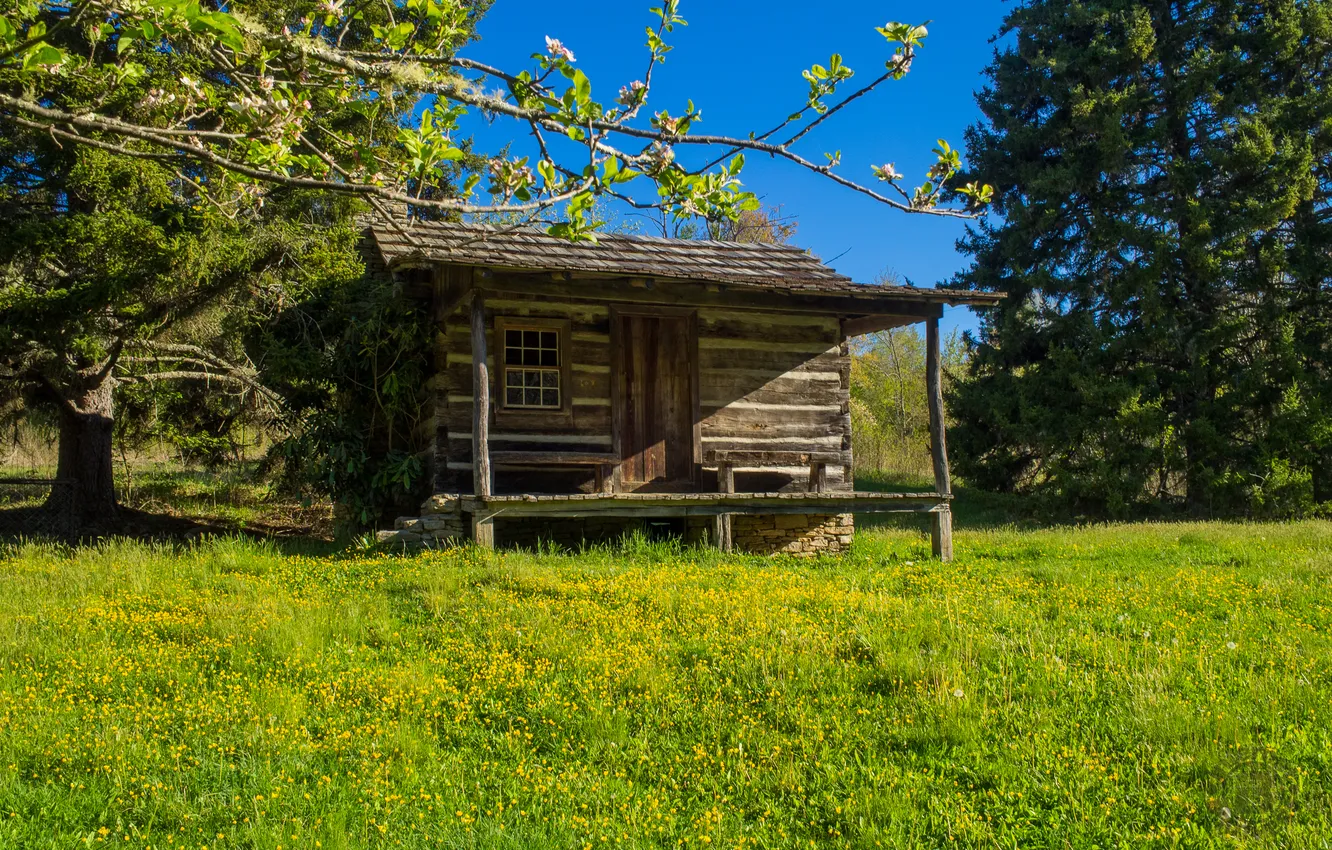 Photo wallpaper the sky, grass, trees, house, USA, USA, architecture