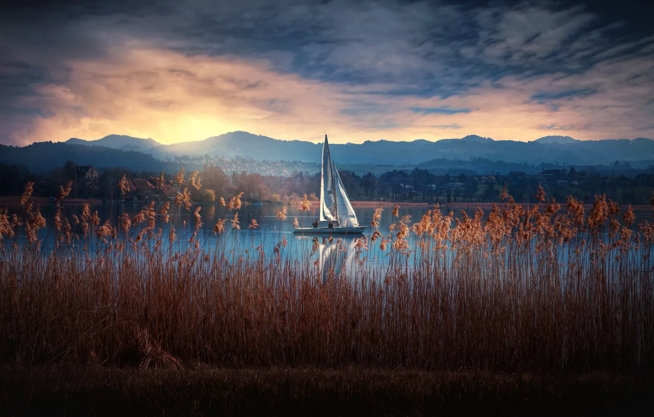Photo wallpaper lake, yacht, Switzerland, reed, Switzerland, Greifensee Lake, Lake Greifen, Greifensee