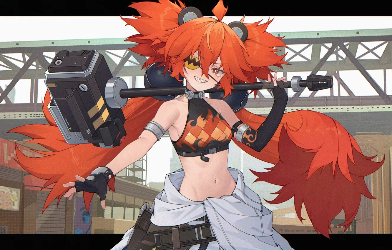 Photo wallpaper girl, weapons, koleda belobog, Zenless Zone Zero