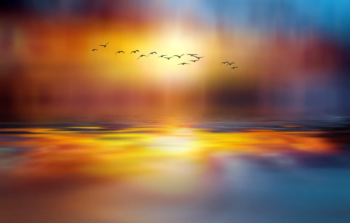 Photo wallpaper lake, style, bird, paint, the world, pack, fabulous, Josep Sumalla