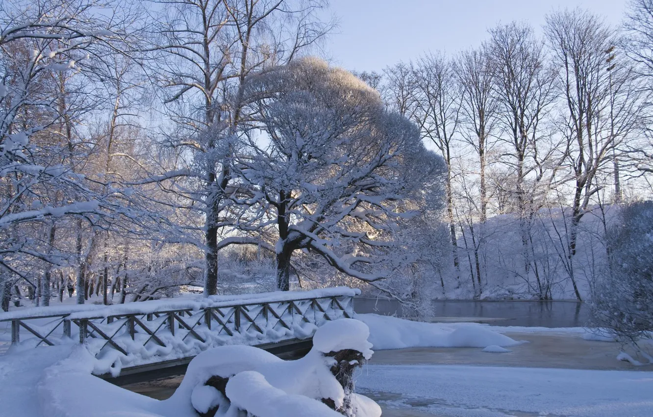 Photo wallpaper winter, snow, nature, Park, frost, the bridge