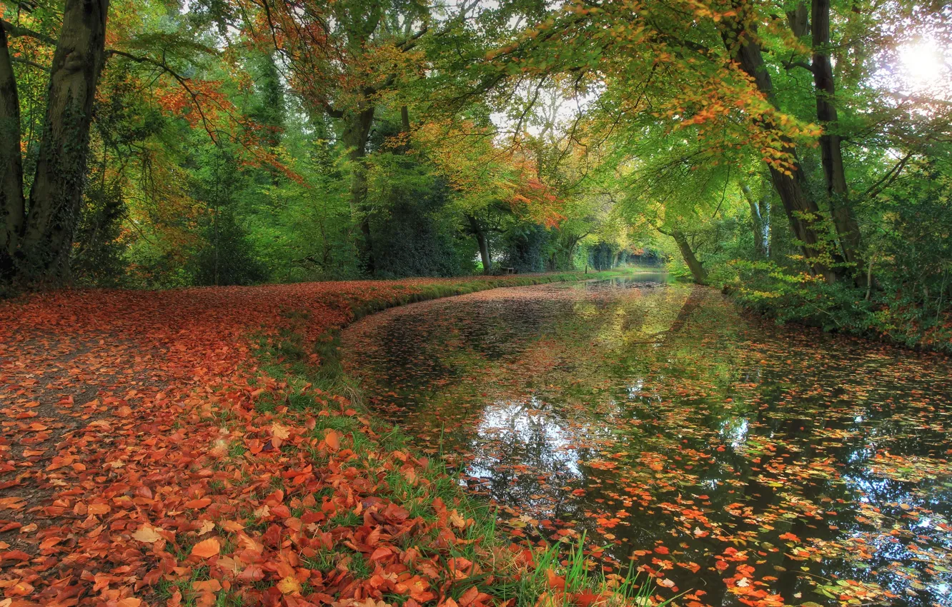 Photo wallpaper autumn, Park, river