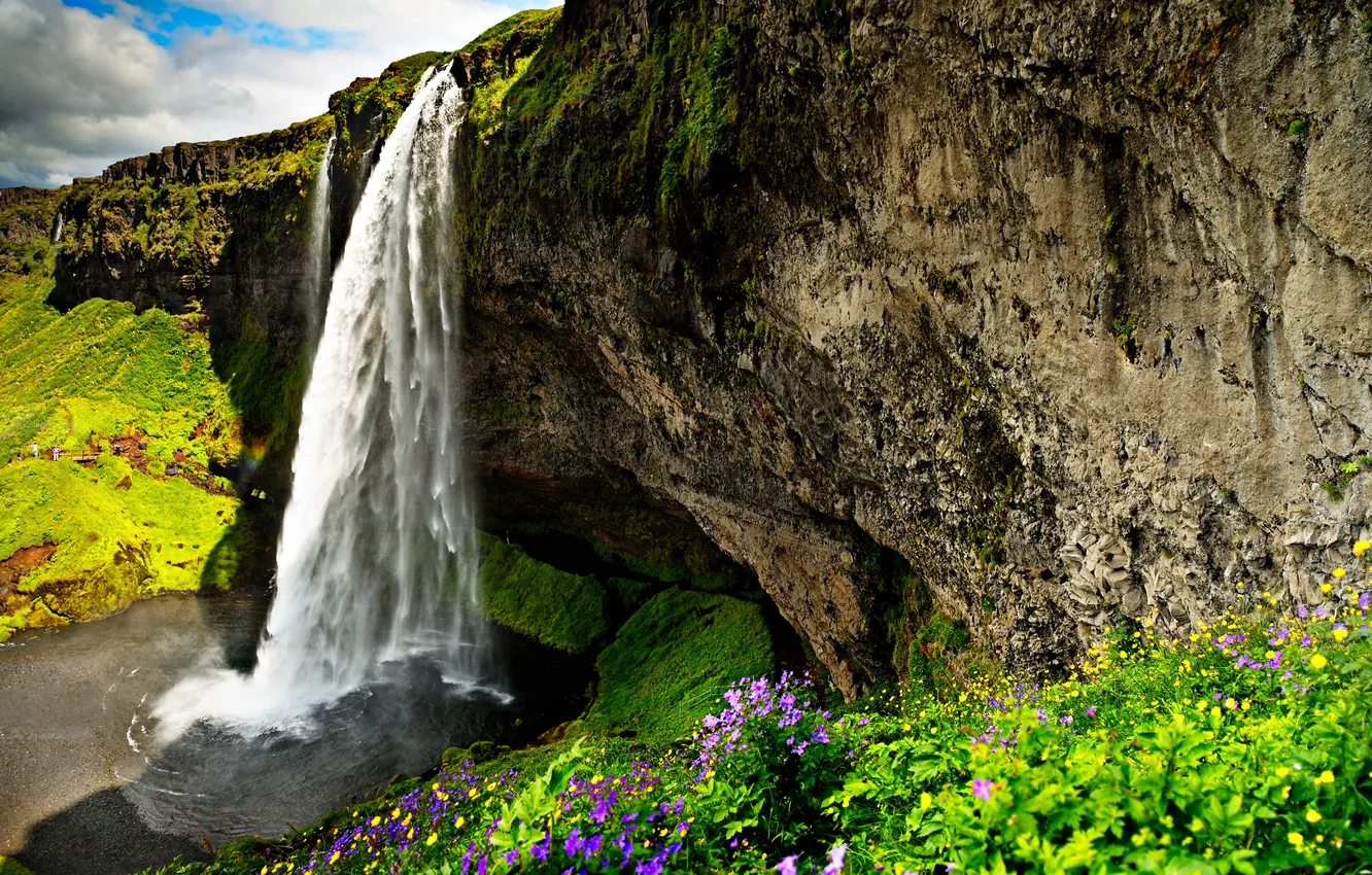 Photo wallpaper the sky, clouds, landscape, flowers, nature, rocks, plant, waterfall