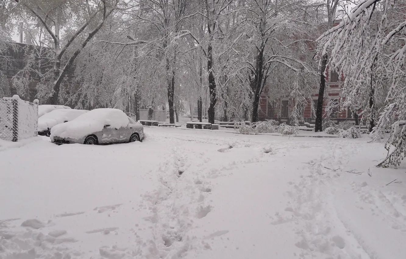 Photo wallpaper snow, April, Dnepr