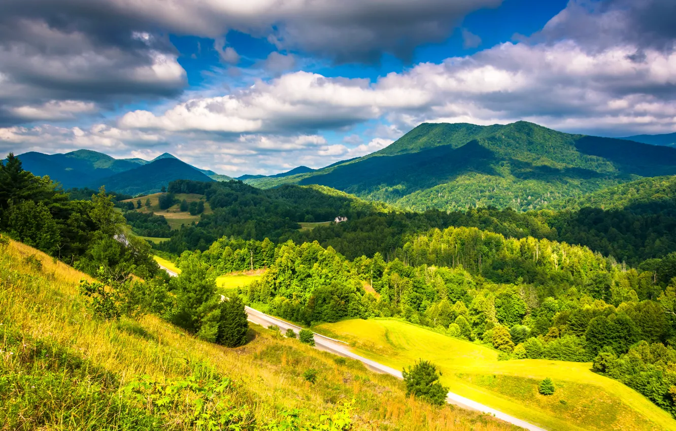 Photo wallpaper forest, clouds, landscape, mountains, nature, photo, USA, Appalachian
