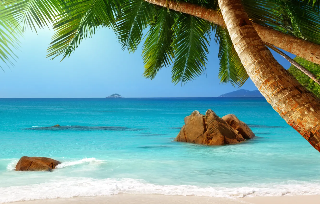 Photo wallpaper sand, sea, beach, tropics, palm trees, shore, summer, sunshine