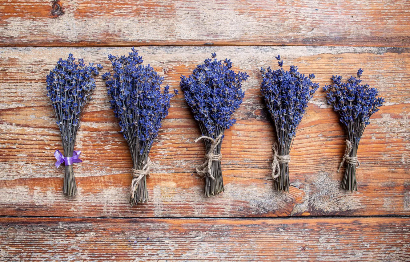 Photo wallpaper flowers, Board, a lot, a bunch, lavender